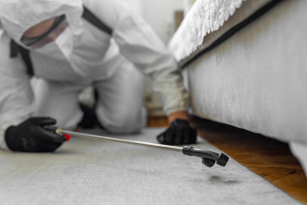Professional Bed Bug Control technician working in Limestone Creek, FL