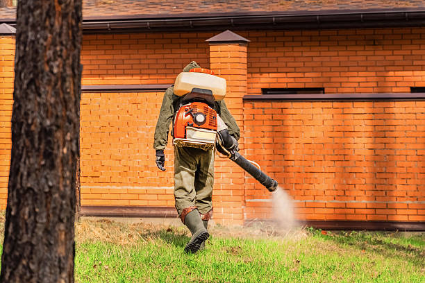 Trusted Mosquito Control service in Limestone Creek, FL - Nex Pest Control